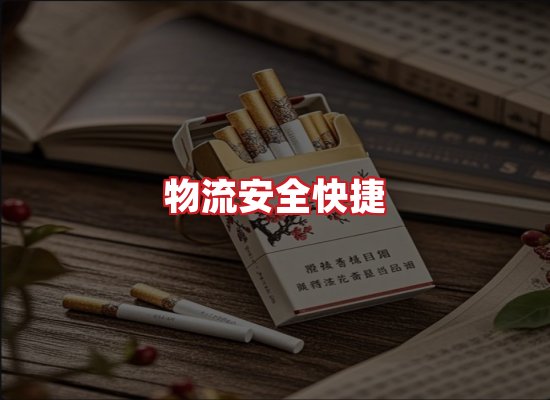 专业团队